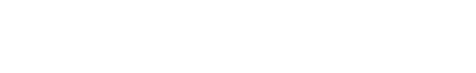 Grupo Executa